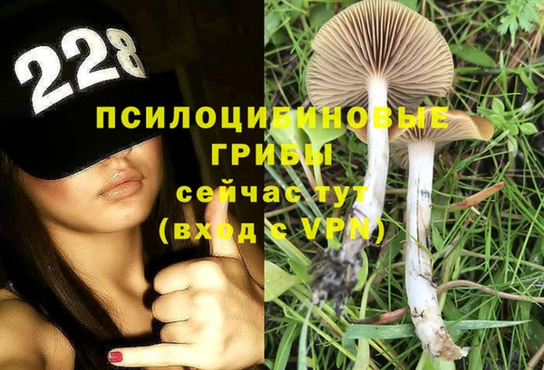 тгк Краснотурьинск